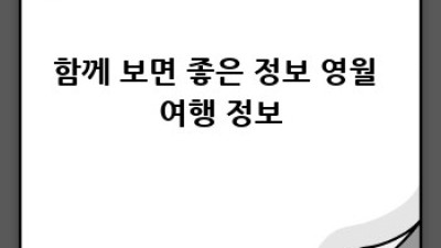 영월 김삿갓면 렌트카 최저가 비교, 어디서 빌릴까요?